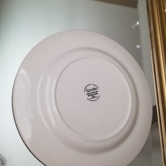 ❗Spode England Peregrine Falcon Brown Floral Rim Salad Plate 8"❗ - Picture 5 of 5